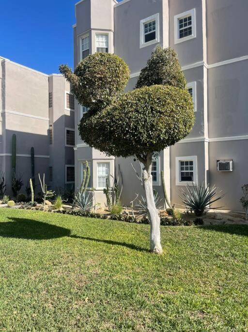 Departamento En 1Er Piso 2 Bdr 2Bath Tezal Appartement Cabo San Lucas Buitenkant foto